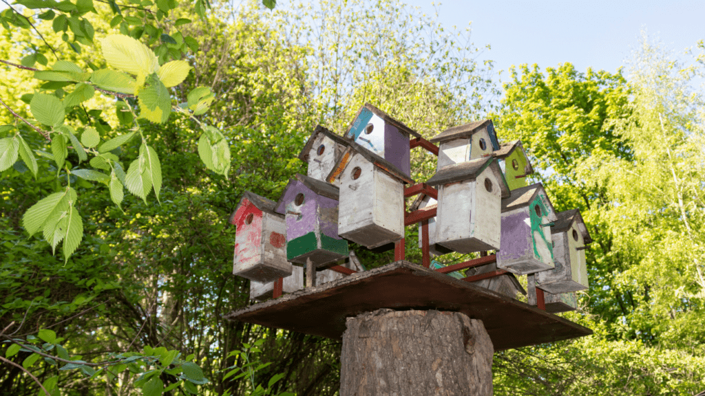 an image of a bird house