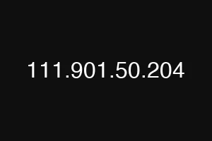 111.901.50.204