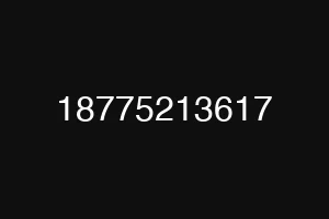 18775213617
