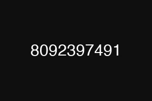 8092397491