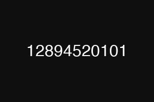 12894520101