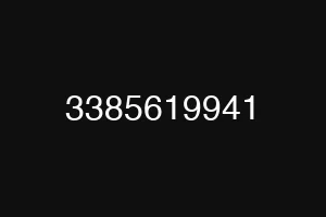 3385619941