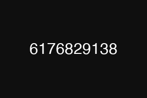 6176829138