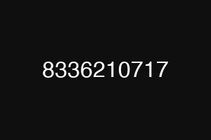 8336210717