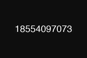 18554097073