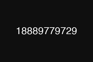 18889779729