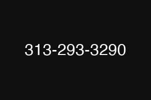 313-293-3290