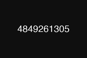 4849261305