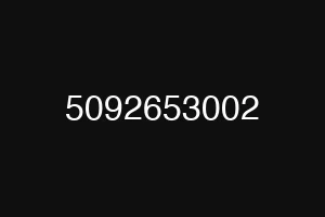 5092653002