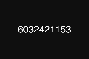 6032421153