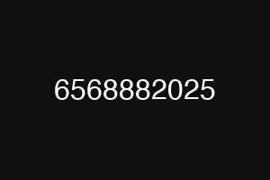 6568882025