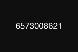 6573008621