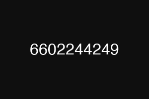 6602244249