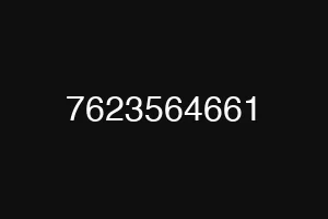 7623564661