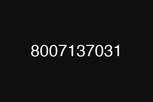 8007137031