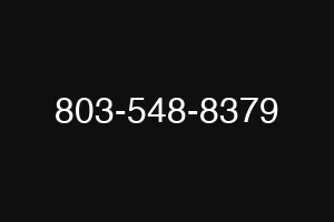 803-548-8379