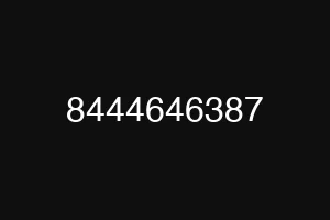 8444646387