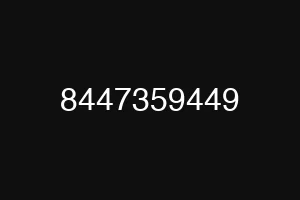 8447359449