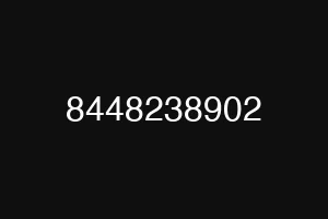 8448238902