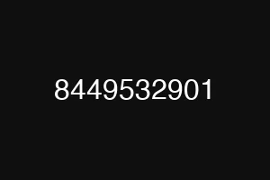 8449532901
