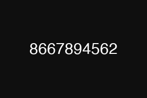 8667894562