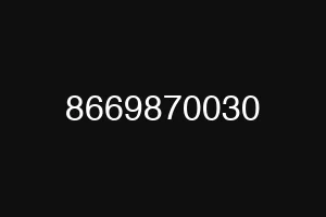 8669870030